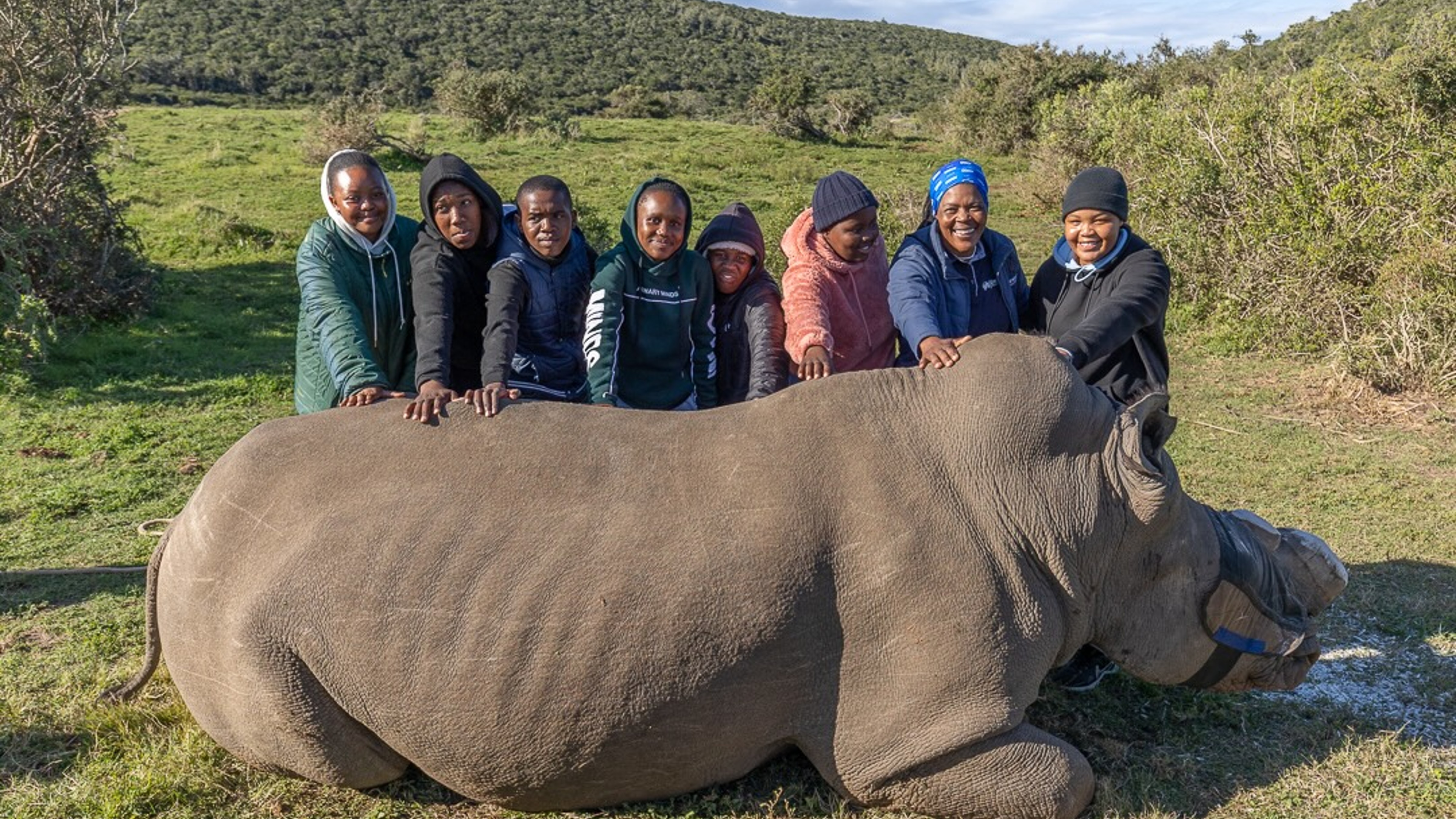 Community Environmental Kids At Rhino Procedure On Kariega Game Reserve